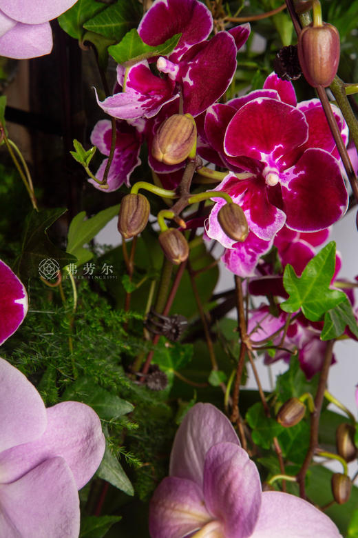 骏马踏歌来 商品图4