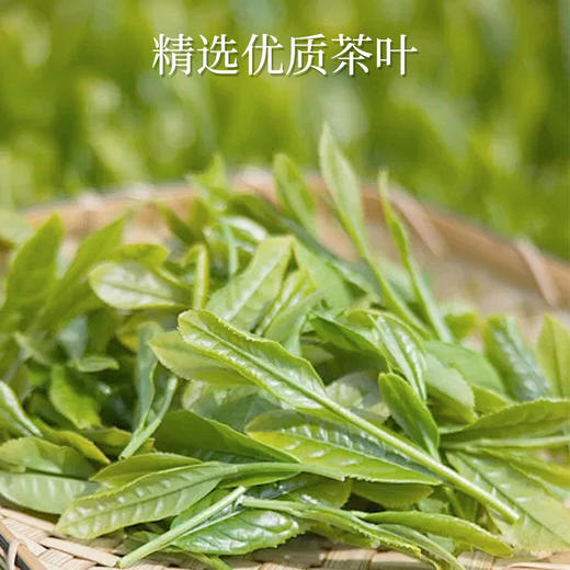 康和馨金骏眉红茶丨正山小种红茶丨单枞鸭屎香240g/盒 商品图2