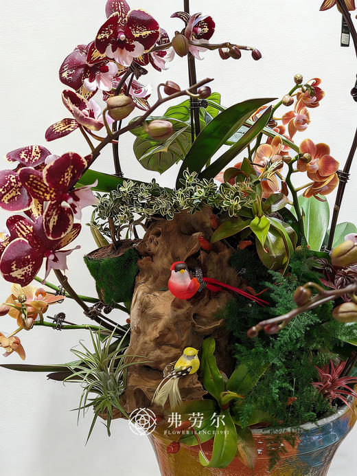 安居乐业 商品图2