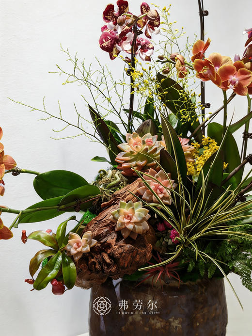 笑口常开 商品图1