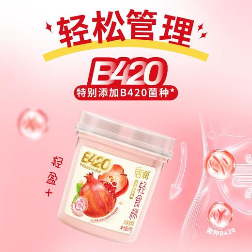 新希望活润轻食杯红苹果红石榴风味发酵乳 340g/瓶 商品图3