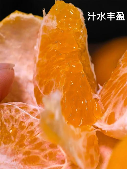 版纳春种植园·茶壤柑，4斤装礼盒：果径60-70mm，七年坚守，只为这一口山泉浇灌的清甜，自然生长不套袋，接受阳光雨露，花皮是山谷风的吻痕（介意外观慎拍） 商品图0