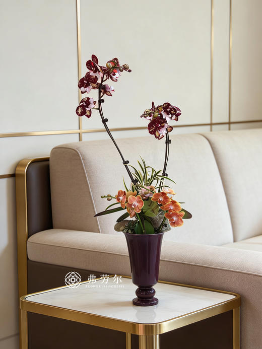 福寿安康 商品图0