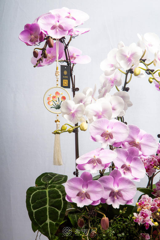 马韵绕梁春 商品图2