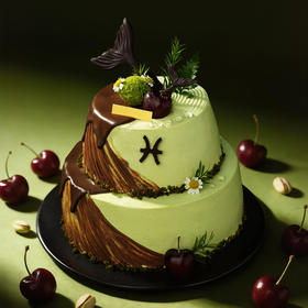 【双鱼座】车厘子开心果巧克力