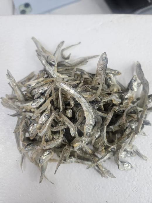 韩福德 汤用银鱼국물멸치250g 商品图0