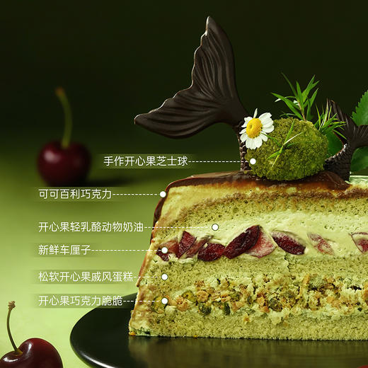 【双鱼座】车厘子开心果巧克力 商品图5