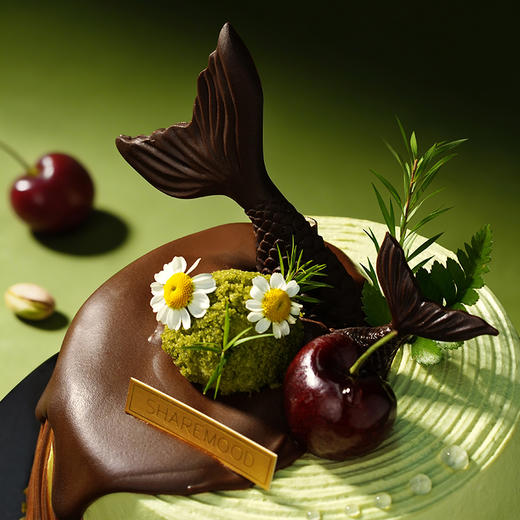 【双鱼座】车厘子开心果巧克力 商品图2