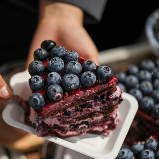 【轻甜蛋糕】蓝莓多多 商品图1