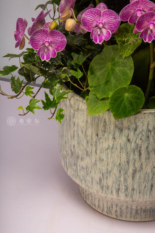 马踏锦云归 商品图3