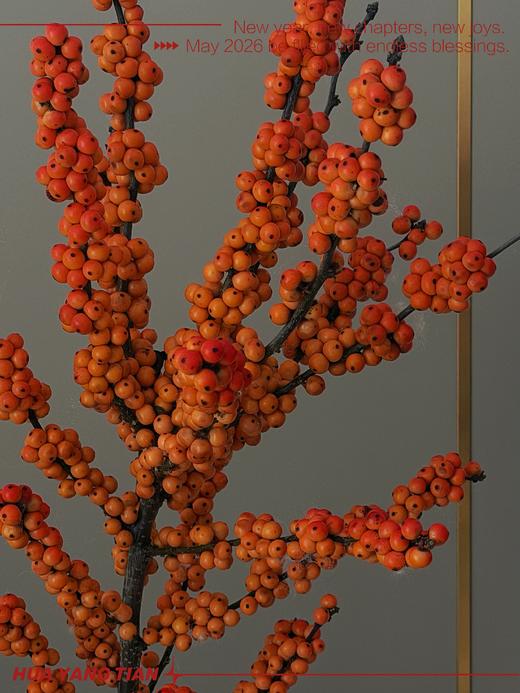 爱马仕橙冬青 商品图1