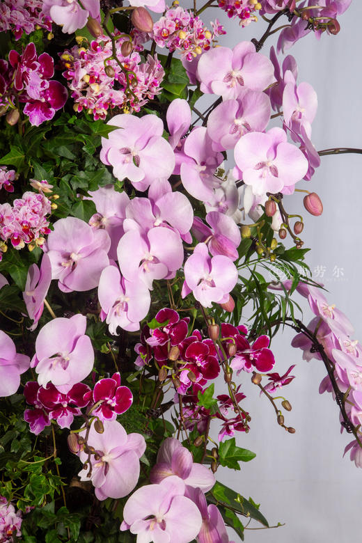 骏马踏歌来 商品图1