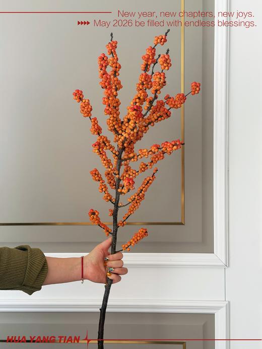 爱马仕橙冬青 商品图0