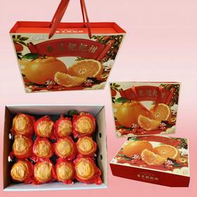 春见耙耙柑高端套盒12枚装礼盒【FY】