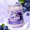 和润蓝莓墩墩罐风味发酵乳2*235g 商品缩略图5
