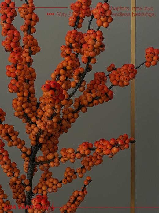 爱马仕橙冬青 商品图2