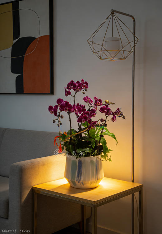 码上喜相逢 商品图1