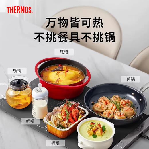 【4月】膳魔师EHA-5901A-G 食物保温垫（暖菜垫）【7F童床】[广百北京路店] 商品图2