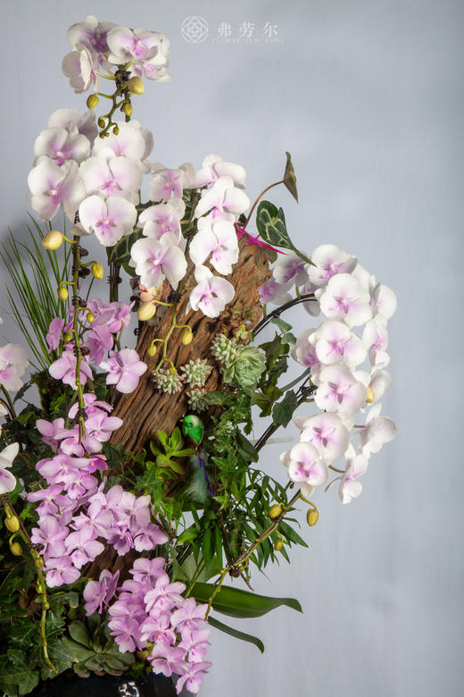 玛彩耀前程 商品图2