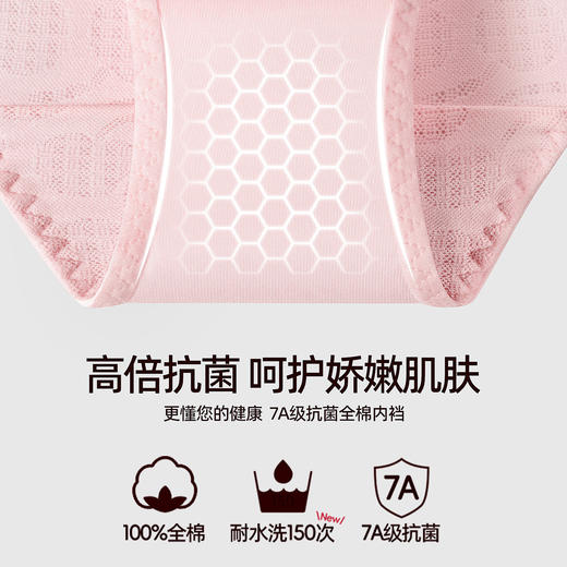 3条118元好奇蜜斯性感三角内裤女低腰蕾丝透气舒适纯棉7A抗菌裆夏-阿加莎内裤 商品图2