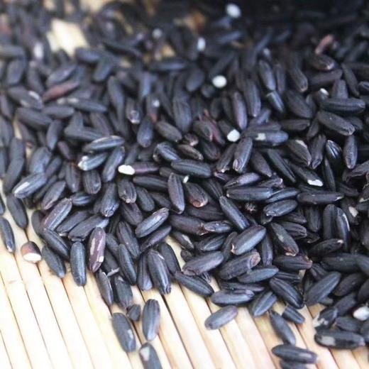 黑米500g/袋 商品图2