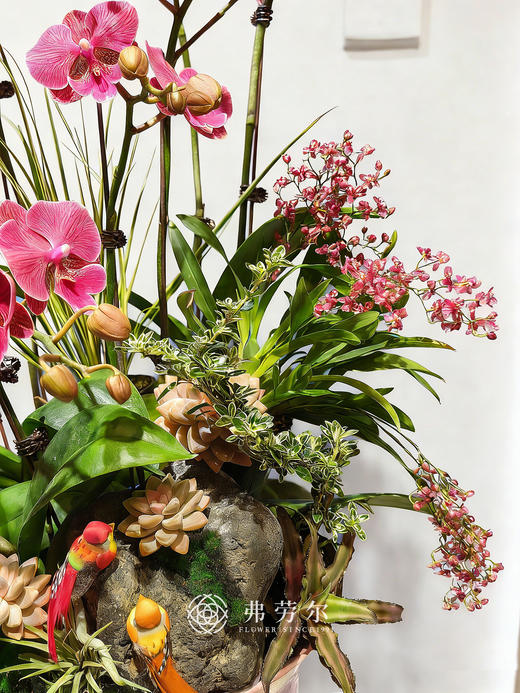 欣欣向荣 商品图2