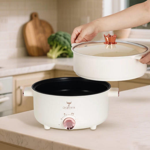 奇巧礼  多功能电蒸锅【LY】 商品图1