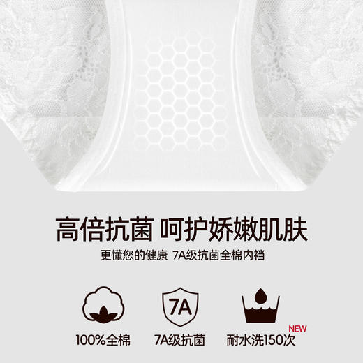 3条98元好奇蜜斯性感三角内裤女低腰蕾丝透气舒适纯棉7A抗菌裆夏-桑妮内裤 商品图2