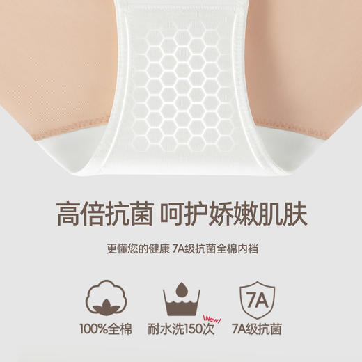 3条98元好奇蜜斯无痕三角内裤女中腰性感隐形透气纯棉7A抗菌裆夏-维也纳内裤 商品图2