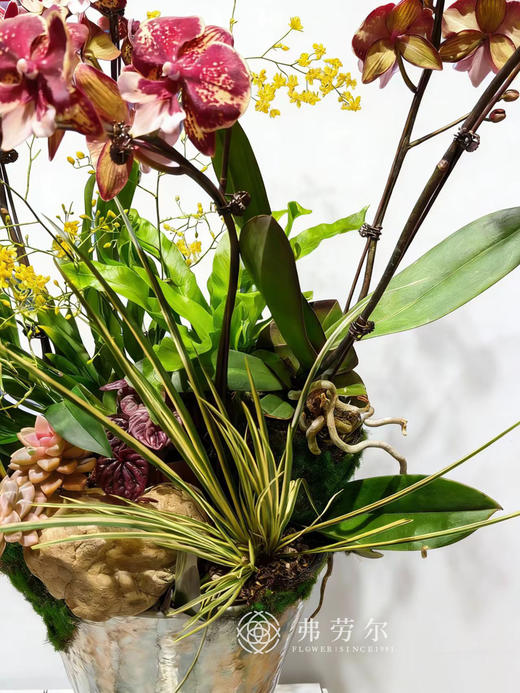 心想事成 商品图1