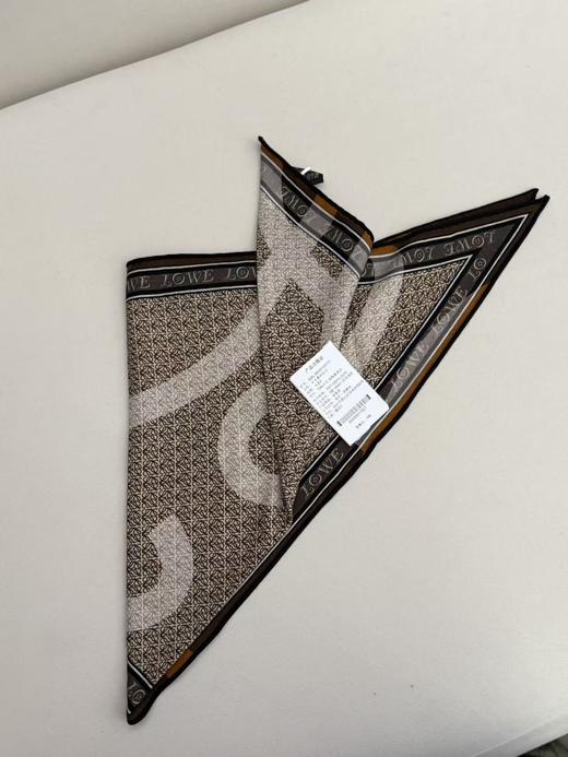 【预售7天，不退不换】良木礼羊毛蚕丝丝巾（D25102727） 商品图0