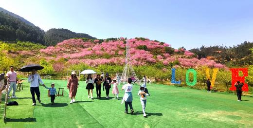 北山樱花园一日游【LY】 商品图2