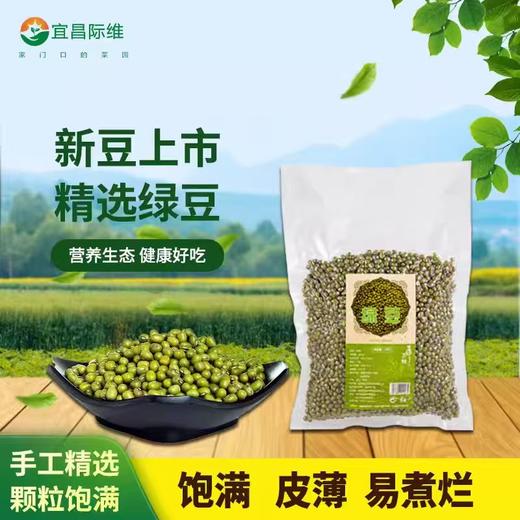 绿豆500g/袋 商品图0