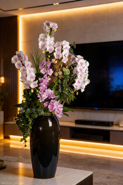 玛彩耀前程 商品图0