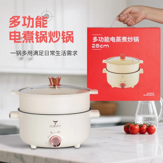 奇巧礼  多功能电蒸锅【LY】 商品图0
