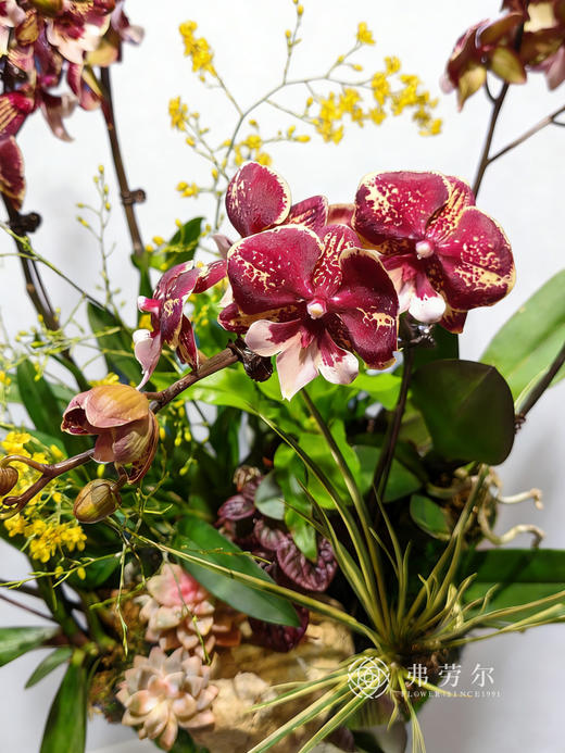 心想事成 商品图3