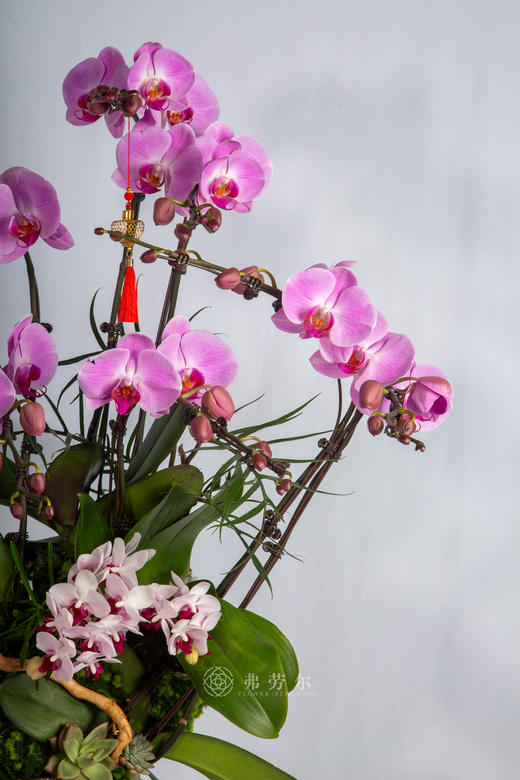 马鞍驮双喜 商品图2