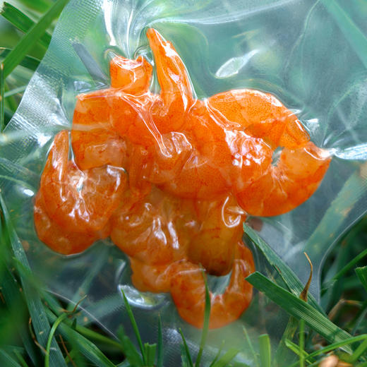 有机金钩海米100g/盒*3袋 商品图3