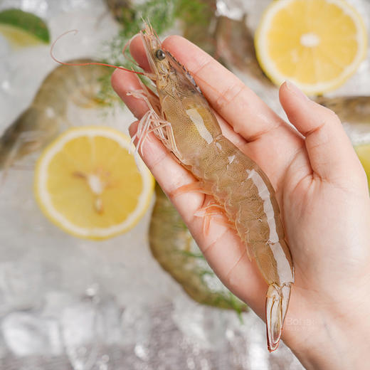 有机带头生虾400g/盒*3盒 商品图2