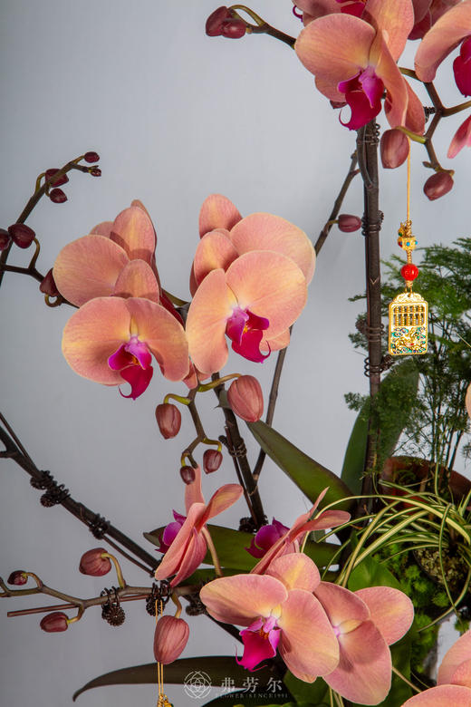 马跃花满蹊 商品图2