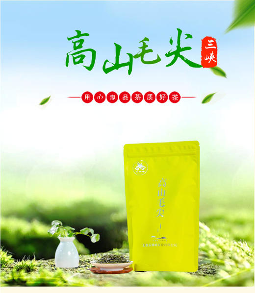 宜昌高山毛尖250g/袋 商品图0