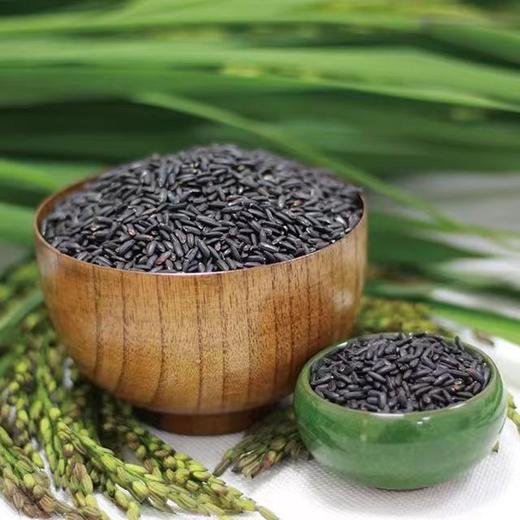黑米500g/袋 商品图3