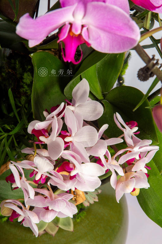 马鞍驮双喜 商品图3