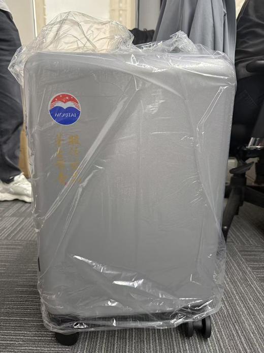 【亏本甩】20寸行李箱银色 商品图0