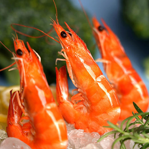 有机熟虾500g/盒*3盒 商品图2