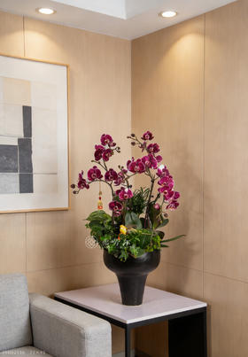 码上展宏图