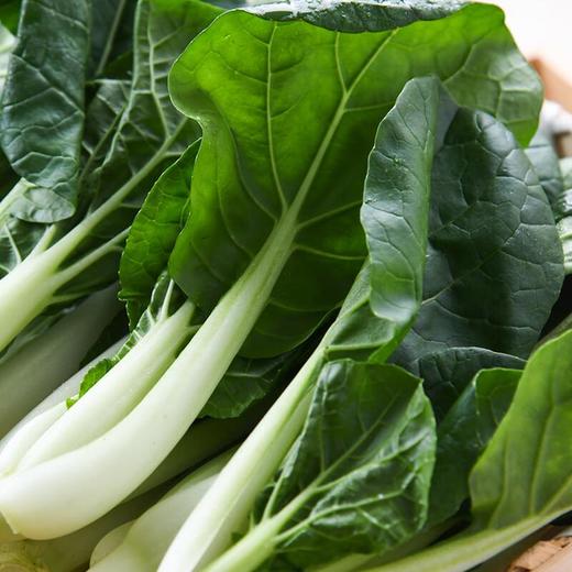 那云那南有机奶白菜苗 250g/份 商品图3