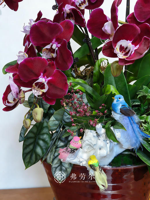 马奔锦途 商品图2