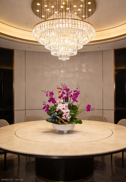 马跃彩虹桥 商品图0