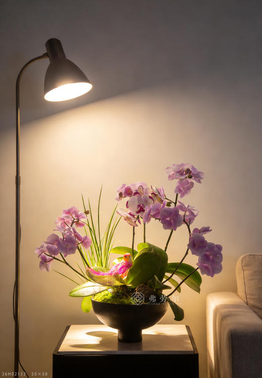 马跃千重锦 商品图0